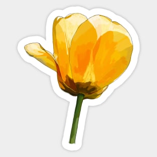 Tulip in the Sunshine Sticker